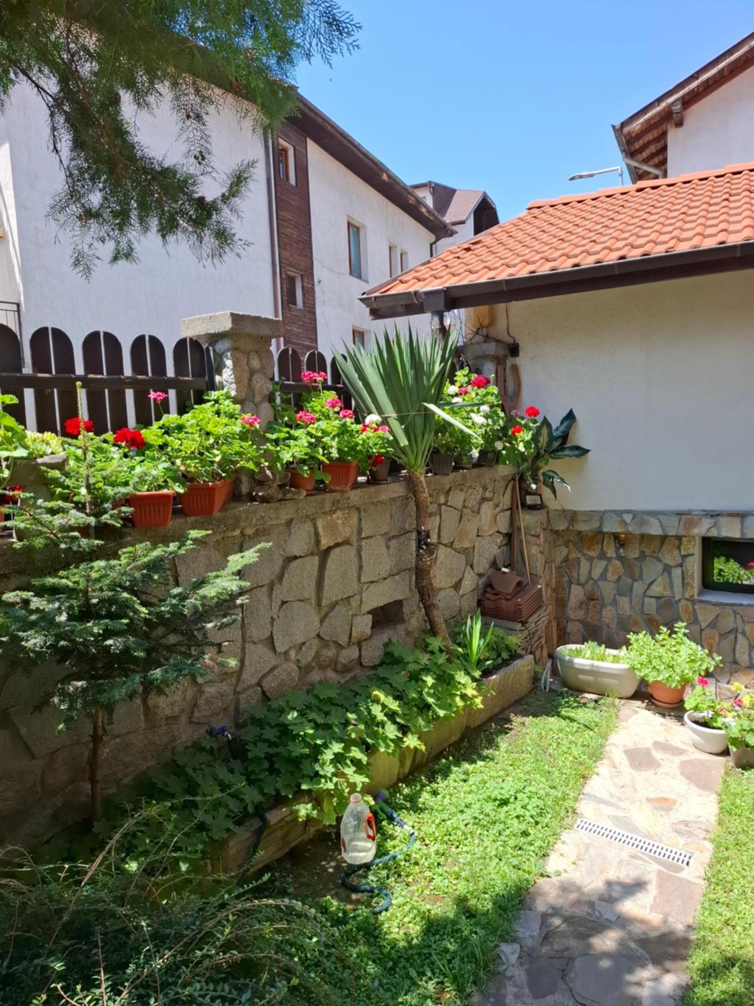 Guest House Skabrin Bansko Exterior photo